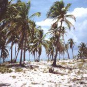  Half Moon Caye, Belize